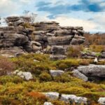 Nidderdale Driving Tour with an APP - Allerton Castle and Boroughbridge