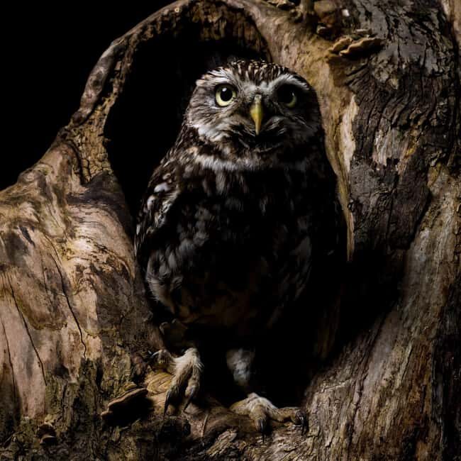 Night hike and stargazing in the Vercors - Practicalities and Considerations