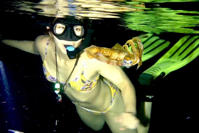 Night Snorkeling - Observation of octopus and other species - The Experience Itself