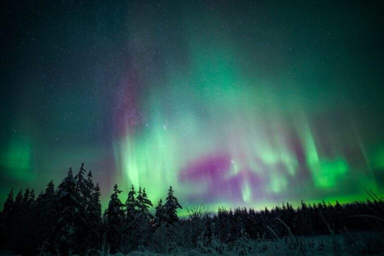 Night Snowshoeing Adventure under the Northern Lights - Final Thoughts: Is This Tour Worth It?