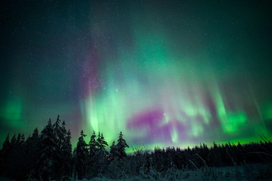 Night Snowshoeing Adventure under the Northern Lights - Final Thoughts: Is This Tour Worth It?