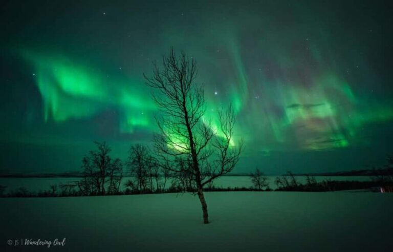 Night Star Walk on Snowshoes in the Finnish Wilderness - Practical Details and Considerations