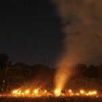 Night Tour in Hoia Baciu Forest - Why This Tour Is Worth It