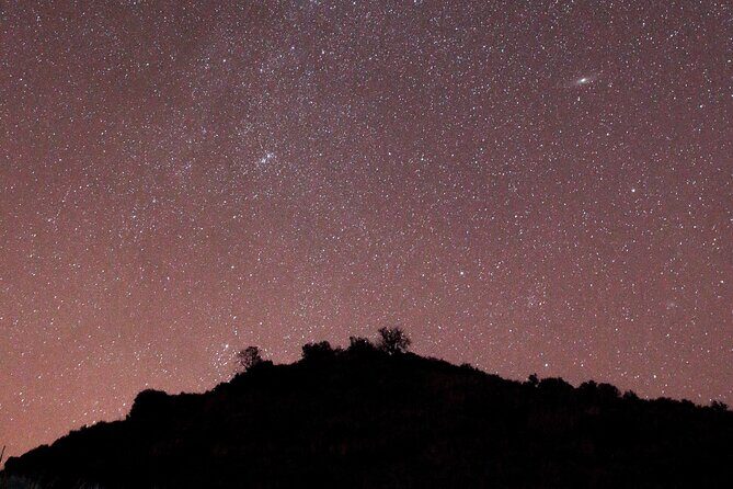 Night Visit to the Engravings of Foz Côa in 4x4 between DOURO and CÔA - The Itinerary Breakdown