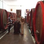 Nis Sightseeing Tour - An In-Depth Look at the Nis Sightseeing Tour