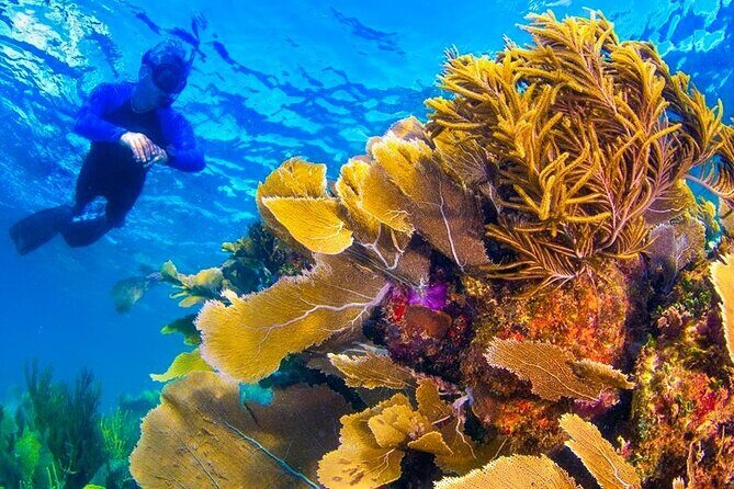 Nizuc Reef Snorkel Experience - Duration and Flexibility