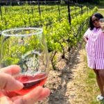 NON BUS Traverse City Old Mission Sunset Wine & Distillery Tour - FAQs