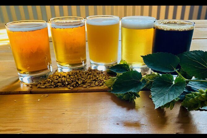 NON BUS VIP Traverse City Brewery And Distillery Tour - Final Thoughts