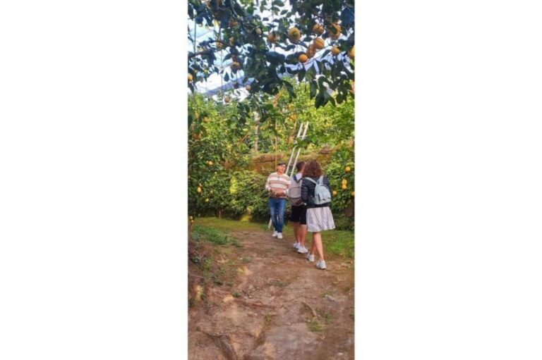 Nonno Mario Lemon Tour - How Value Comes Into Play