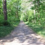 Noordwijk: Beach and Dunes Bike Tour - A Taste of Dutch Culture and Nature
