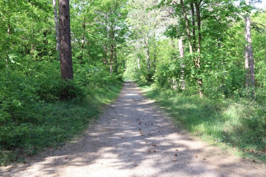 Noordwijk: Beach and Dunes Bike Tour - A Taste of Dutch Culture and Nature
