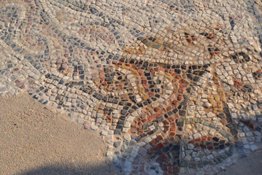 Nora Tour from Cagliari - Who Should Consider This Tour?