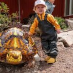 Nordens Ark Entry Ticket - What Youll Experience During Your Visit