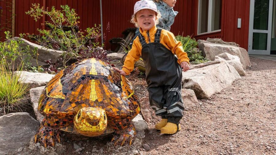 Nordens Ark Entry Ticket - What Youll Experience During Your Visit