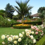 Nordeste Private Tour (2 people) - The Experience: What You’ll Love and What to Keep in Mind