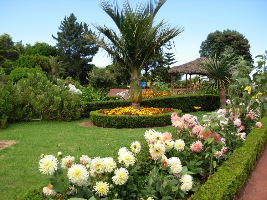 Nordeste Private Tour (2 people) - The Experience: What You’ll Love and What to Keep in Mind