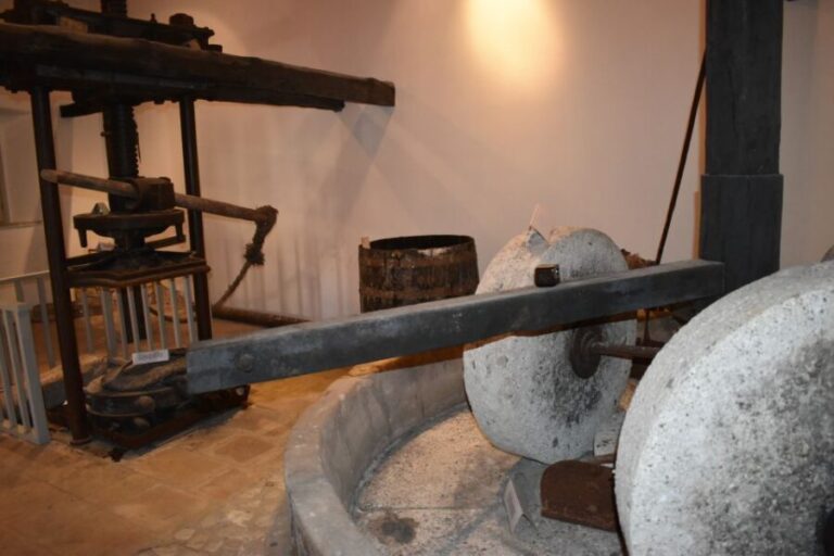 North Corfu Olive Tour with Olive Oil Tasting and Meze - In-Depth Look at the Tour Experience