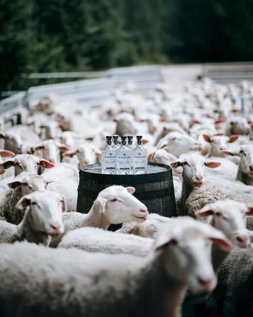 North Cotswolds: Farm Experiences at The Vodka Farm - What’s Included and Practical Details