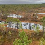 North Estonia: Nature and Mystery Tour - Exploring the Tour in Detail