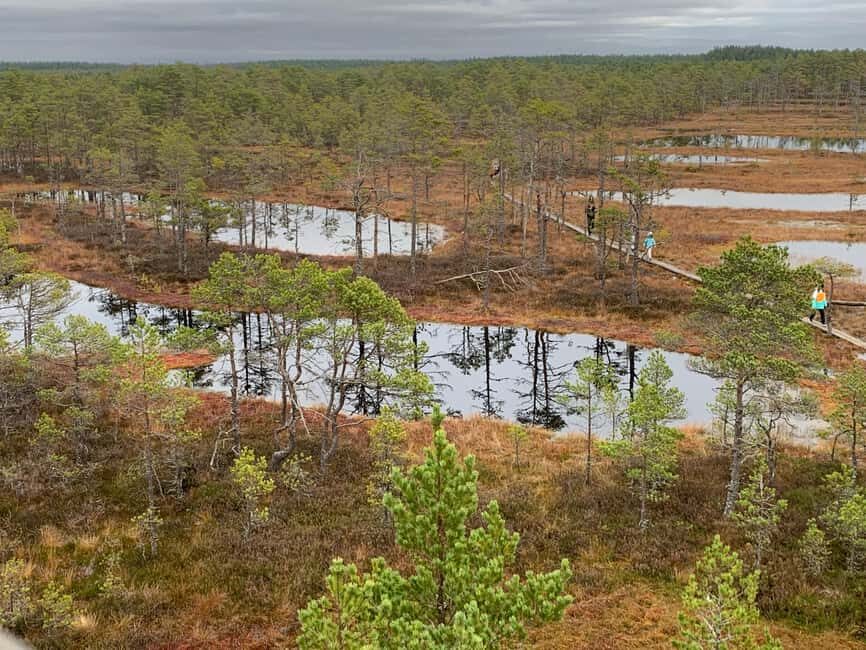 North Estonia: Nature and Mystery Tour - Exploring the Tour in Detail