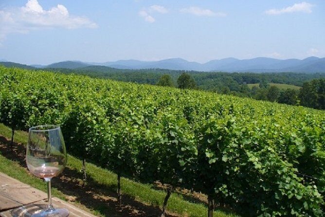 North Georgia Wine Country Tour from Atlanta - The Sum Up