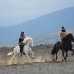 North Iceland: Horseback Riding Tour - The Horses and the Tölt