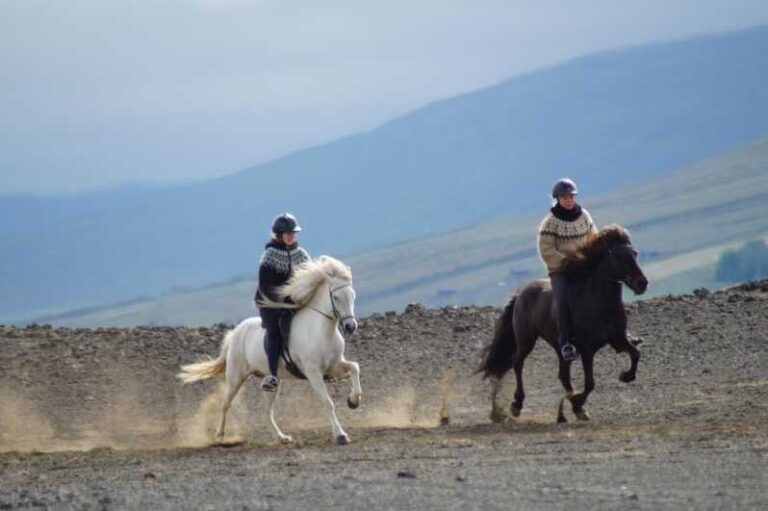 North Iceland: Horseback Riding Tour - The Horses and the Tölt