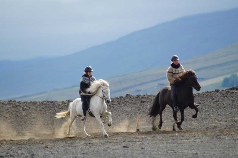 North Iceland: Horseback Riding Tour - The Horses and the Tölt