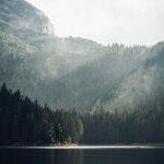 North Montenegro Tour:abljak - NP Durmitor - Black Lake - urevia Tara Bridge - What the Tour Includes and What to Consider