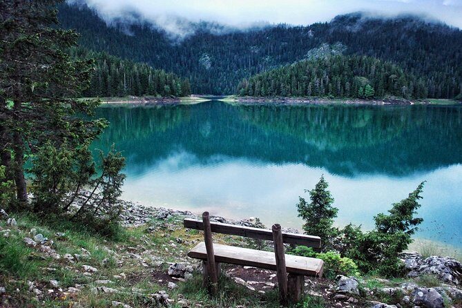 North of Montenegro Private Tour - Tara Canyon & National Parks - Price and Value Analysis