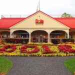 North Shore Adventure Shuttle - Who Will Love This Tour?