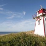 North Shore And More Private Tour - What Travelers Love About This Tour