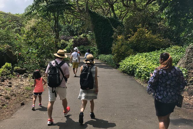 North Shore / Waimea, Falls Day & Swim with Turtles - Final Thoughts