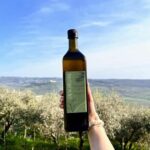 Northern Istria: Olive Oil Tasting with scenic landscape - Why This Tour Works Well