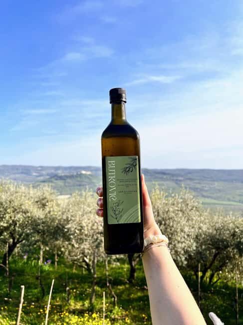 Northern Istria: Olive Oil Tasting with scenic landscape - Why This Tour Works Well