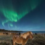 Northern light on horseback - Who Should Consider This Experience?