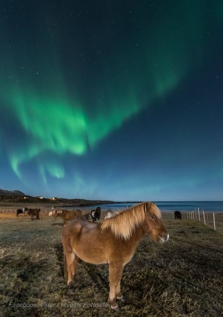 Northern light on horseback - Who Should Consider This Experience?
