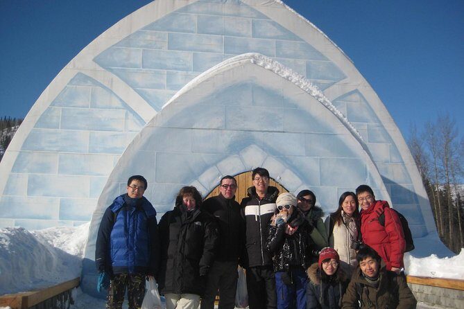 Northern Lights and Chena Hot Springs Tour from Fairbanks - Authentic Feedback from Travelers