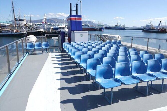 Northern Lights Boat Cruise from Reykjavik - The Itinerary Breakdown