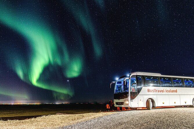 Northern Lights Bus Tour from Reykjavik - Who Is This Tour Best For?