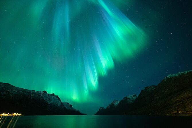 Northern Lights Chase by Bus in Tromso - Who Is This Tour Best For?