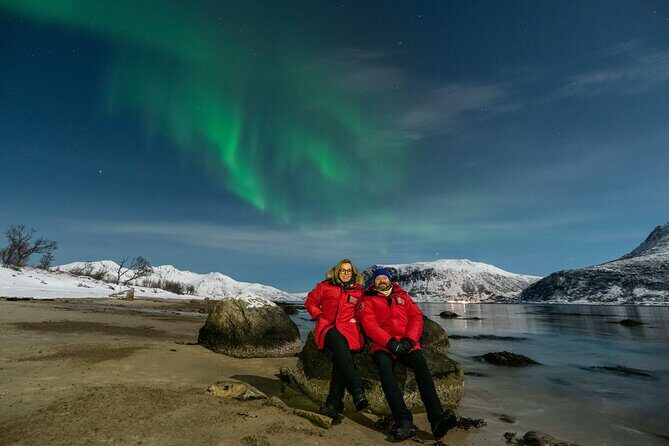 Northern Lights Chase by Minibus - What You Should Know Before Booking