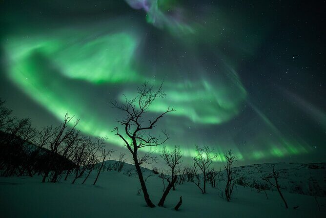 Northern Lights Expedition with Arctic Photo Guide max 6 guests - FAQ