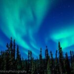 Northern Lights Experience and Cabin Dinner - Frequently Asked Questions