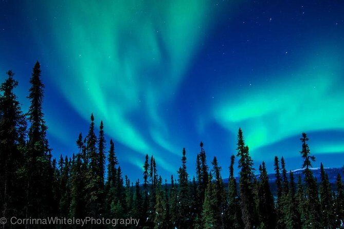 Northern Lights Experience and Cabin Dinner - Frequently Asked Questions