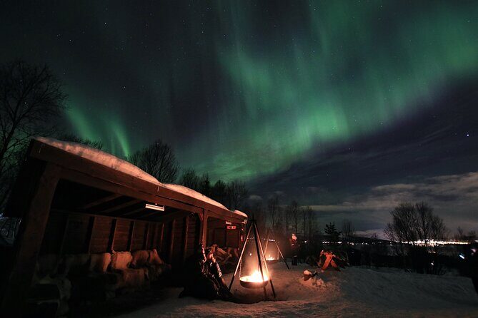 Northern Lights Husky Visit - The Experience’s Strengths and Weaknesses