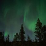 Northern Lights & Reindeer Experience - A Closer Look at the Itinerary