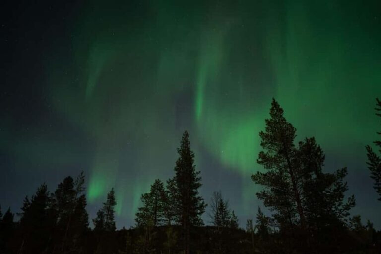 Northern Lights & Reindeer Experience - A Closer Look at the Itinerary