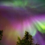 Northern Lights Reindeer Sledge Ride - How It Compares to Other Experiences