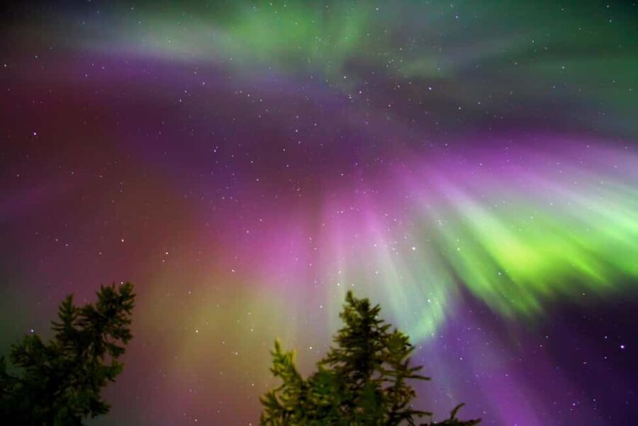 Northern Lights Reindeer Sledge Ride - How It Compares to Other Experiences